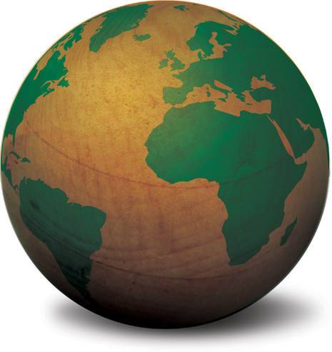 International orders and export