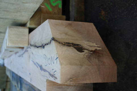 inner bark black vein